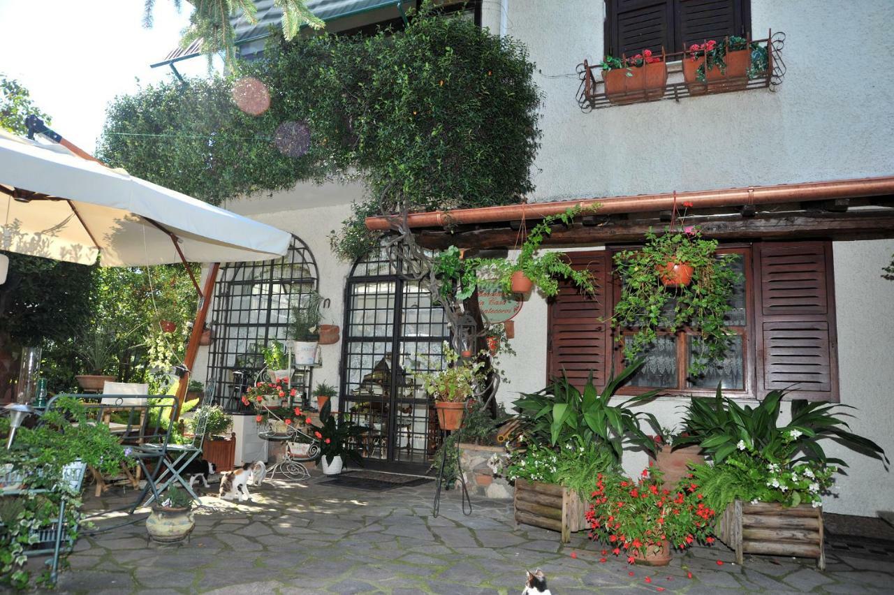 Casa Pontecorvi Bed & Breakfast Velletri Dış mekan fotoğraf