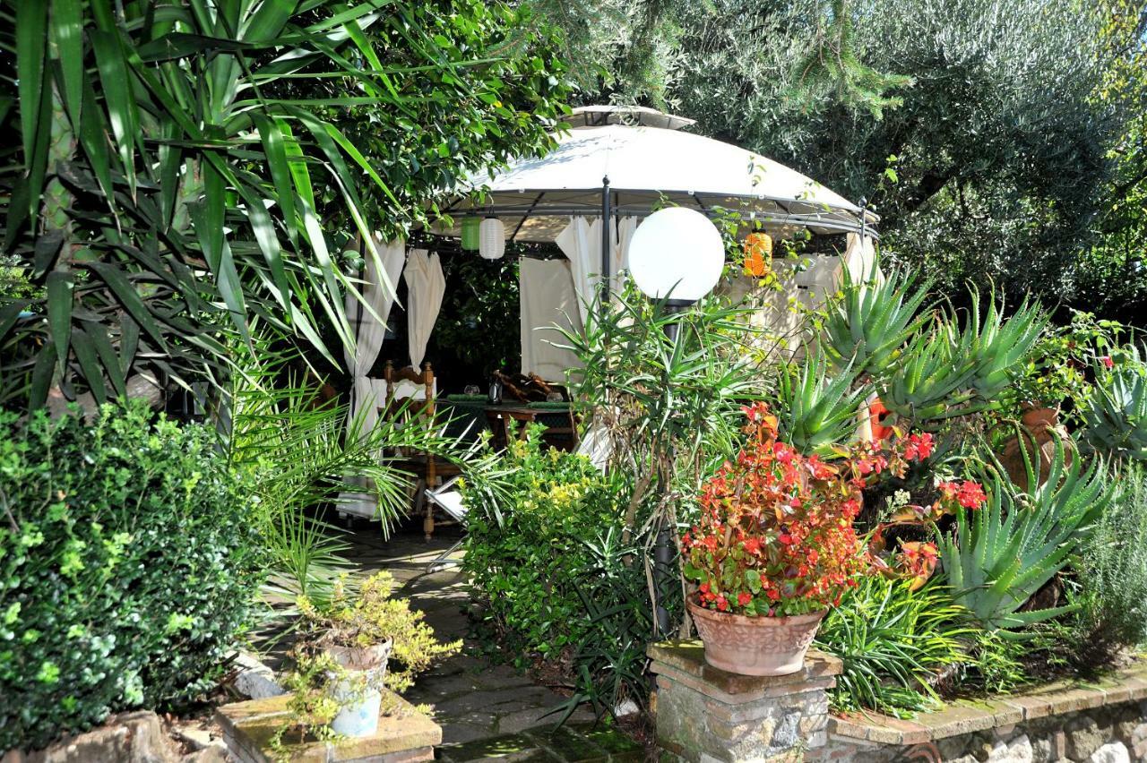 Casa Pontecorvi Bed & Breakfast Velletri Dış mekan fotoğraf