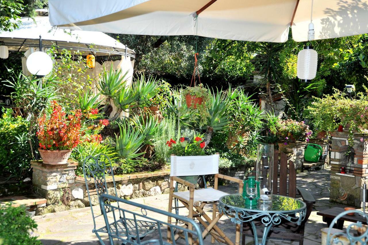 Casa Pontecorvi Bed & Breakfast Velletri Dış mekan fotoğraf