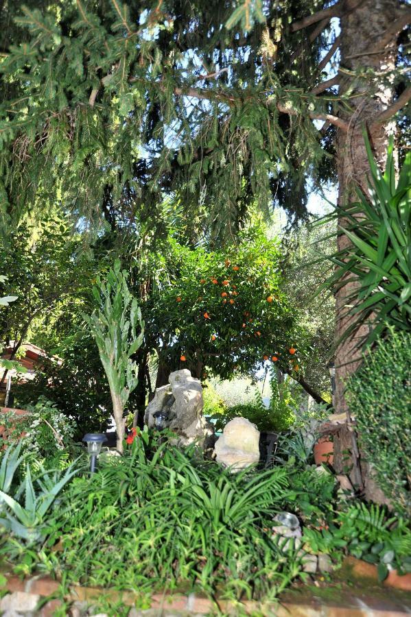 Casa Pontecorvi Bed & Breakfast Velletri Dış mekan fotoğraf