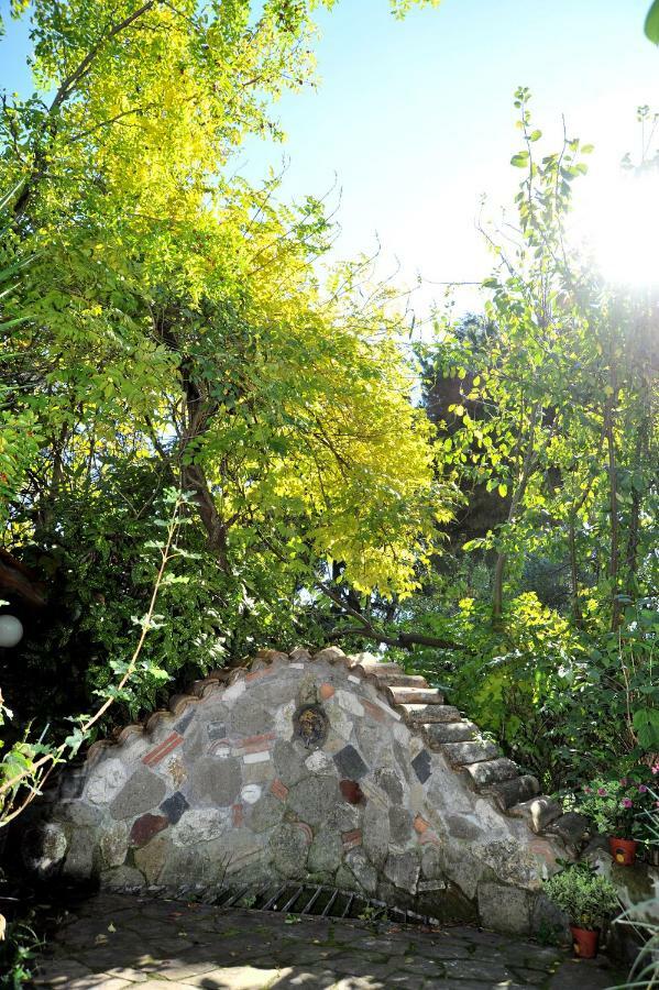 Casa Pontecorvi Bed & Breakfast Velletri Dış mekan fotoğraf