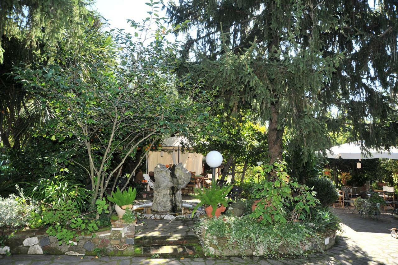 Casa Pontecorvi Bed & Breakfast Velletri Dış mekan fotoğraf