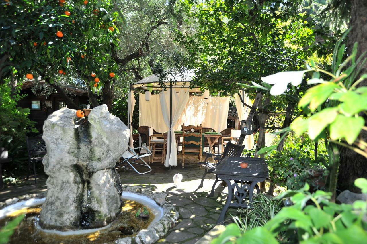 Casa Pontecorvi Bed & Breakfast Velletri Dış mekan fotoğraf