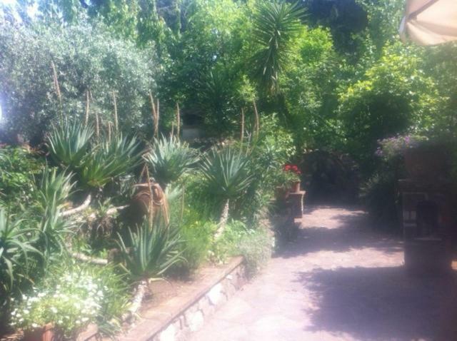 Casa Pontecorvi Bed & Breakfast Velletri Dış mekan fotoğraf